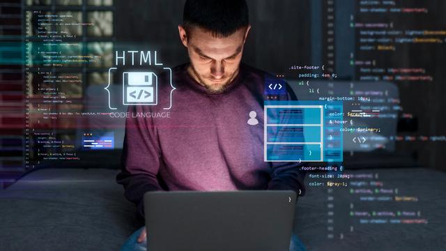 No-Code to Pro-Code: Customizing Your Business Workflows with BizBMS